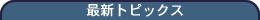 �ŐV�g�s�b�N�X